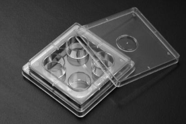 خرید پلیت ۴-۶-۱۲-۲۴-۴۸-۹۶خانه