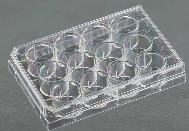 خرید پلیت ۴-۶-۱۲-۲۴-۴۸-۹۶خانه