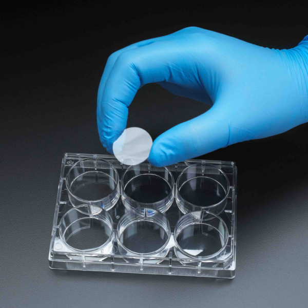 خرید پلیت ۴-۶-۱۲-۲۴-۴۸-۹۶خانه