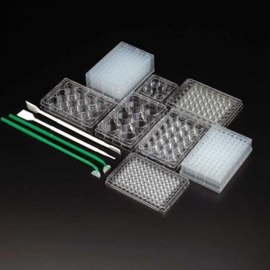 خرید انواع وسایل مصرفی کشت سلولی برند spl کره ای