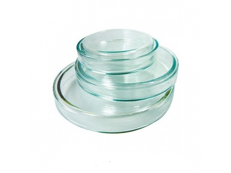 خرید پتری دیش شیشه ای ۶-۸-۱۰-۱۲ سانتی