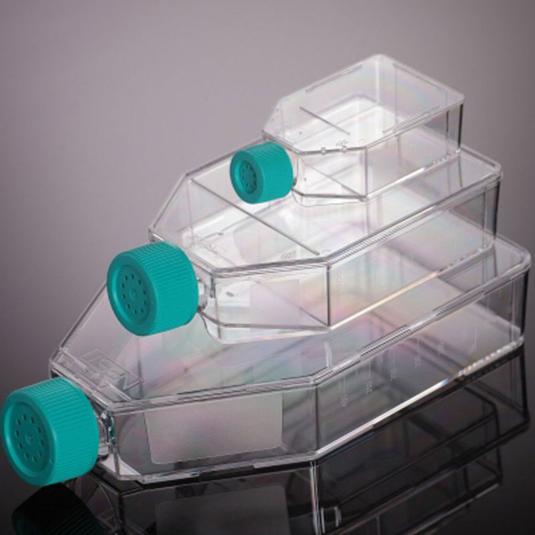 خرید فلاسک کشت سلول T۱۲.۵ چسبنده درب فیلتردار استریل برند Jetbiofil