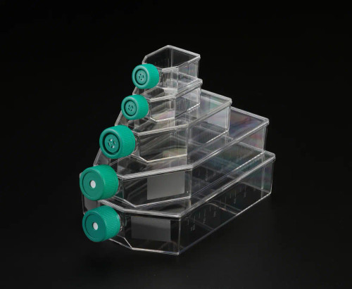 خرید فلاسک کشت سلول T۲۵ چسبنده استریل درب ساده برند spl