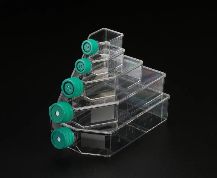 خرید فلاسک کشت سلول T۲۵ نچسب فیلتردار استریل برند spl