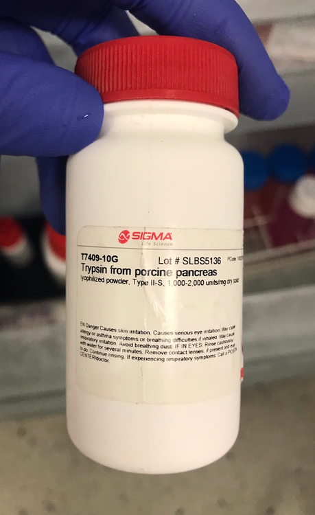 خرید پودر تریپسین کشت سلولی برند سیگماآلدریچ