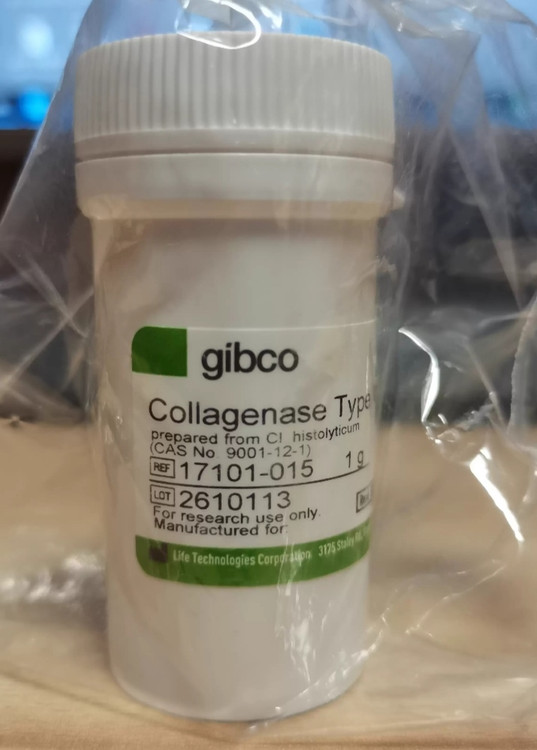خرید پودر آنزیم کلاژناز type 1