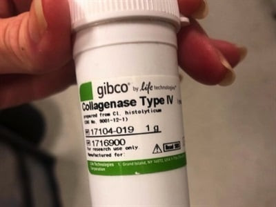 خرید پودر آنزیم کلاژناز Type IV