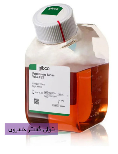 خرید سرم جنین گاوی یا FBS