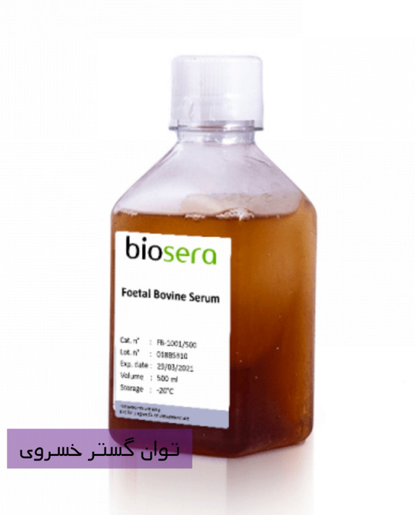 خرید FBS سرم جنین گاوی