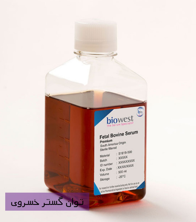 خرید FBS سرم جنین گاوی