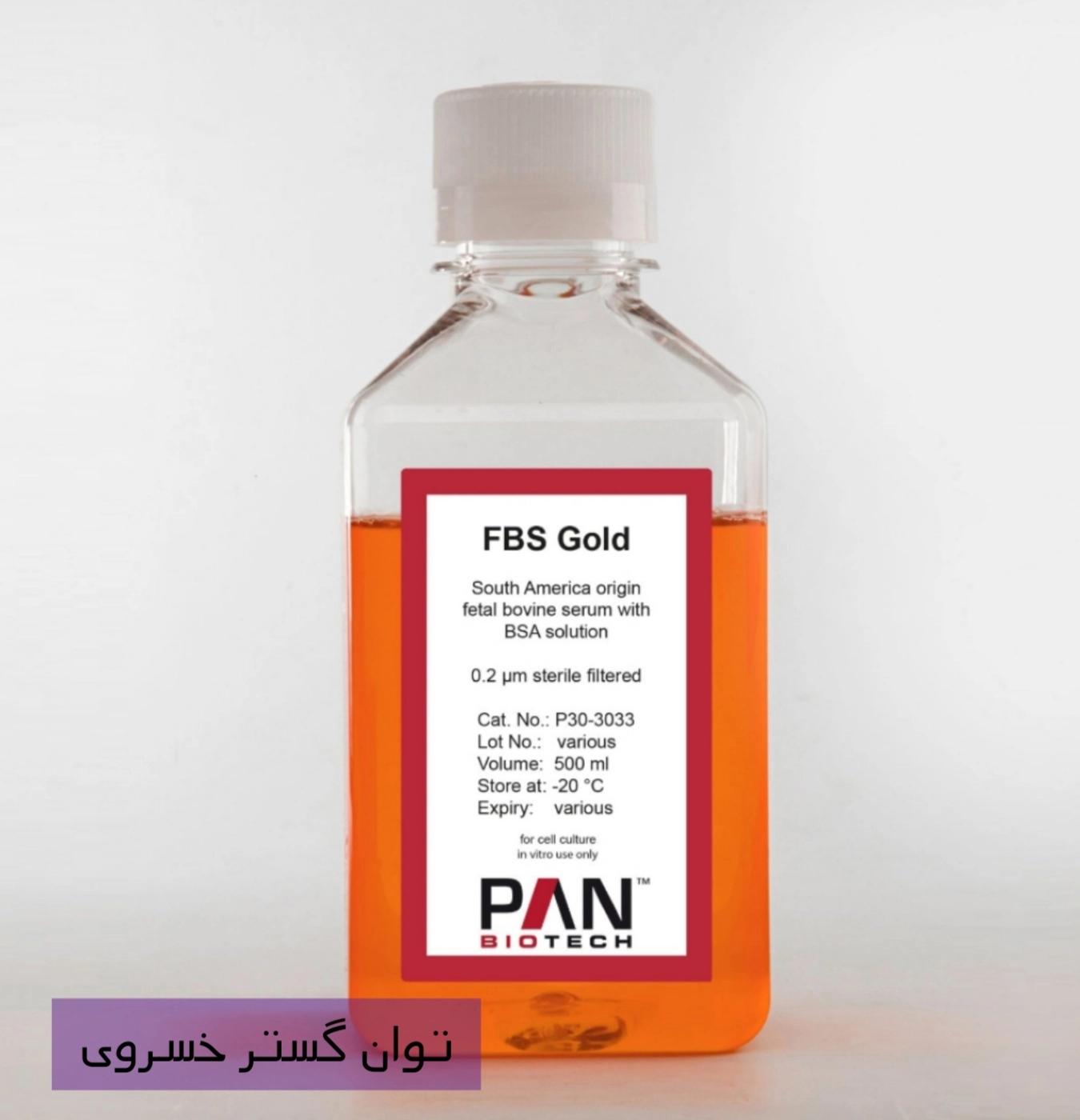 خرید FBS GOLD سرم جنین گاوی