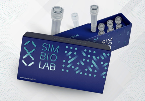 خرید کیت تعیین ژنوتیپ ژن MTHFR در موقعیت C677T به روش PCR