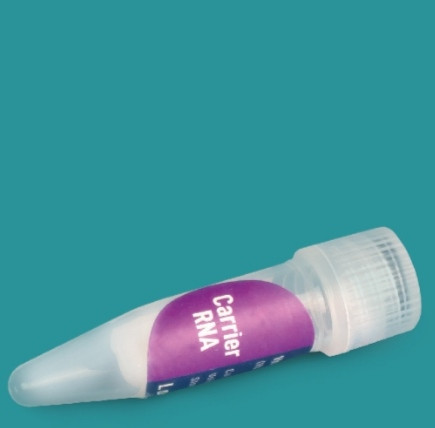 خرید RNA حامل ۱.۲۸ میلی گرم