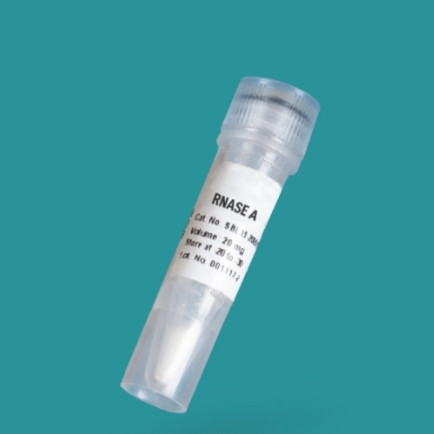 خرید ریبونوکلئاز A حجم ۱۰ میلی گرم
