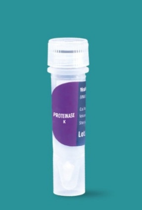 خرید پروتئیناز K حجم ۱۰ میلی گرم