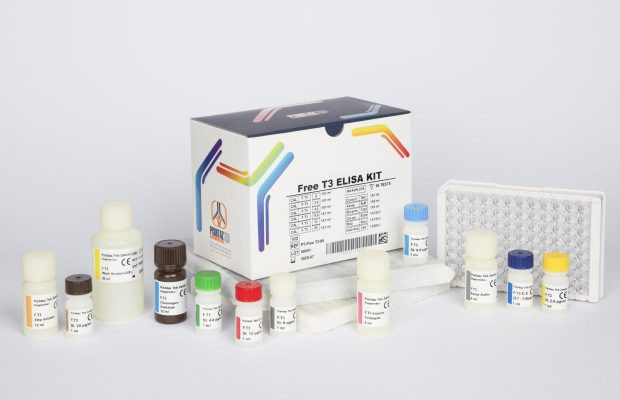 خرید کیت الایزا ۹۶ تستی Free T3 پنل تیروئیدی