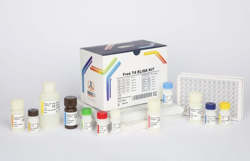 خرید کیت الایزا ۹۶ تستی Free T4 ارزان پنل تیروئیدی