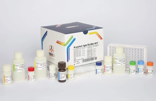 خرید سریع  کیت الایزا H Pylori IgA  پنل عفونی