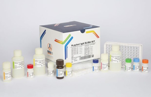 خرید سریع کیت الایزا H Pylori IgA پنل عفونی
