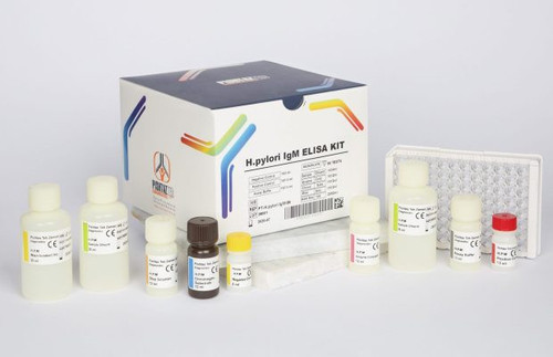 خرید سریع کیت الایزا H Pylori IgM