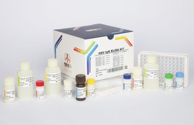 خرید سریع کیت الایزا HSV IgG پنل تورچ