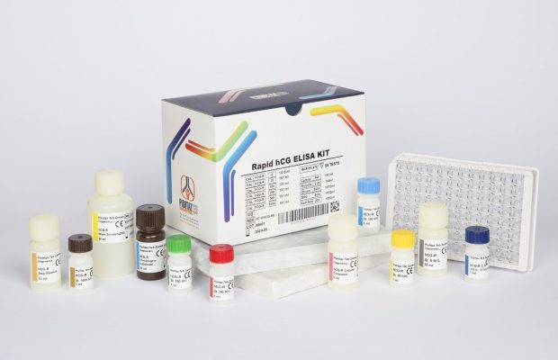 خرید کیت الایزا HCG رپید پنل باروری ۹۶ تستی