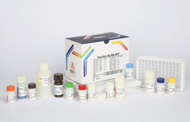 خرید کیت الایزا ۹۶ تستی Ferritin