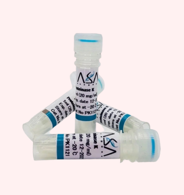 پروتئیناز k