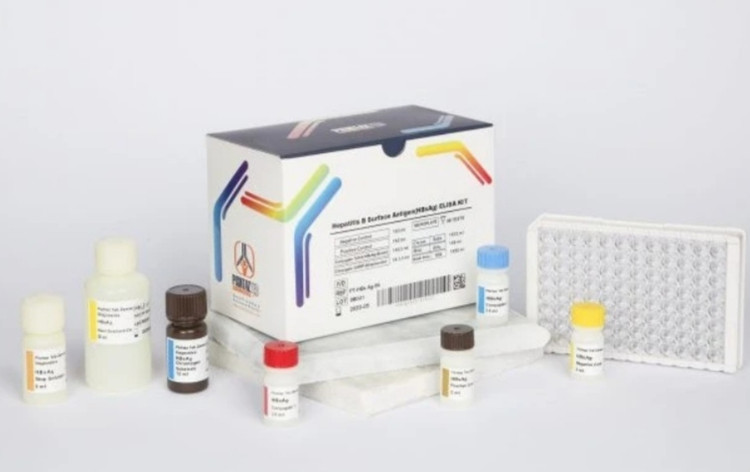 خرید کیت الایزا H pylori stool پیشتاز طب پنل عفونی