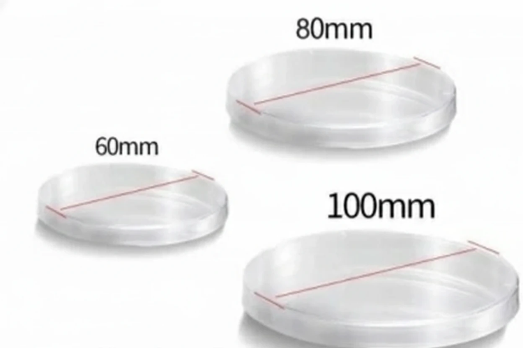 خرید پلیت ۶ سانتی استریل فاتک پلیمر مهام