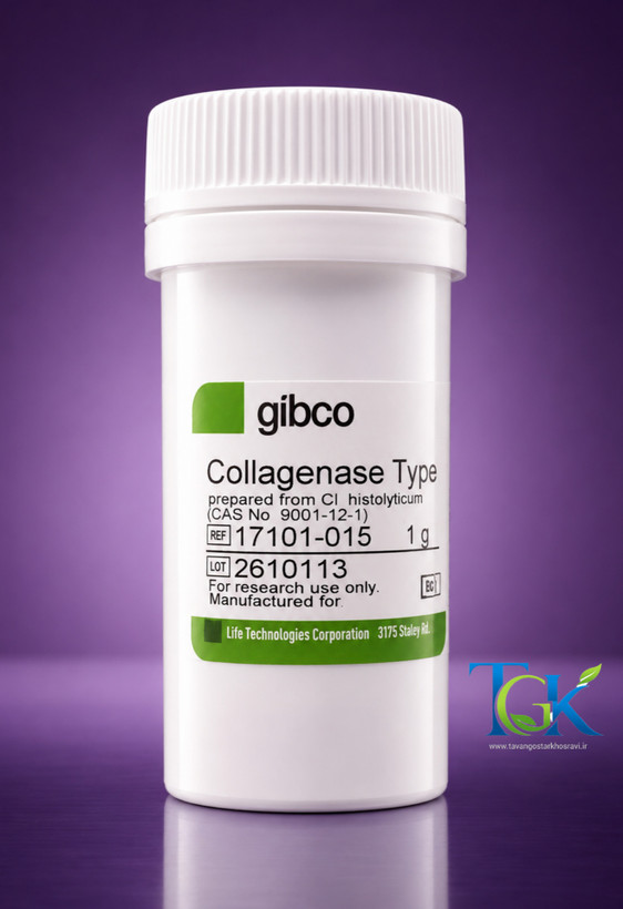 Collagenase, Type IV, powder Gibco